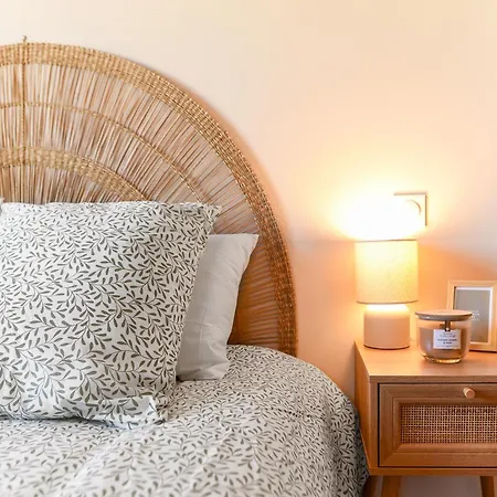 La Passerelle - Vue Et Proximité Cathédrale, Terrasse, Parking Privé * Albi